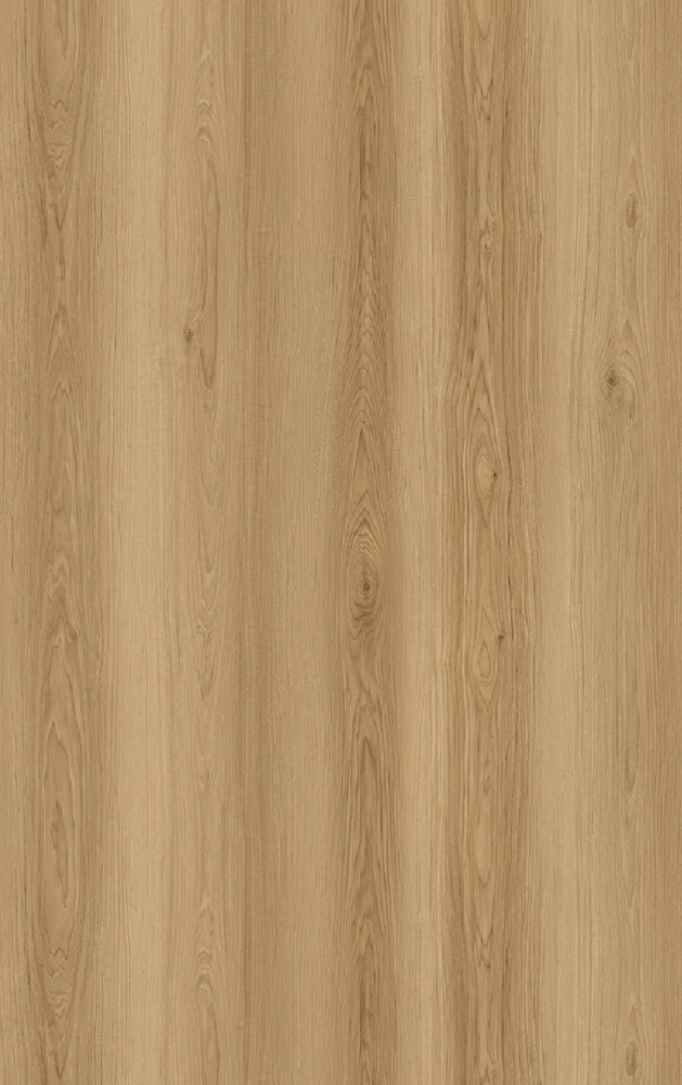 8818-10 F